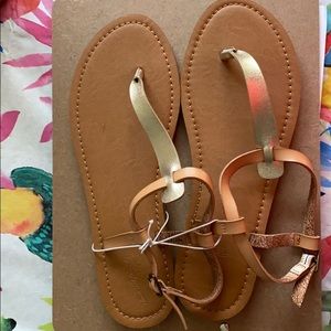 Women's Lady T Strap Sandals